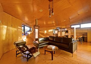 樺木膠合板製成的室內裝飾和家具